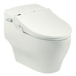 Dib C430R Bidet Wc Met Afstandsbediening - Douchewc Bril Sproeier - Japans Toilet -Badkamerproducten Winkel 1198x1200 27