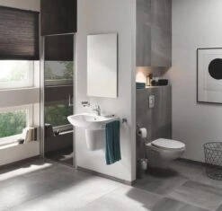 GROHE Bau Cosmopolitan Toiletborstelset -Badkamerproducten Winkel 1200x1140 2