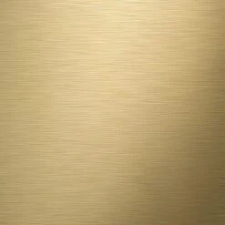 Tiger Tune - Toiletborstel Met Houder Vrijstaand - Messing Geborsteld / Zwart -Badkamerproducten Winkel 1200x1200 893