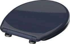 SCHÜTTE WC-Bril 82304 ANTHRAZIT - Duroplast - Soft Close - Afklikbaar - RVS-Scharnieren - Gelakt - Antraciet -Badkamerproducten Winkel 1200x760 2