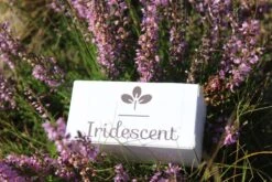 Iridescent Douchekop LED Verlichting – Waterbesparende Douchekop – Hoge Druk Transparant 16 Iridescent Douchekop LED Verlichting – Waterbesparende Douchekop – Hoge Druk Transparant -Badkamerproducten Winkel 1200x800 7