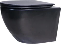 Delivo | Hangend Toilet | Mat Zwart | Softclose | Nano Coating & Rimless Functie -Badkamerproducten Winkel 1200x892 1