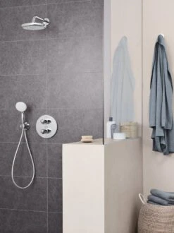 GROHE New Tempesta 100 Douchekop - Ø 10 Cm - 2 Straalstanden - Chroom - 2759710E 21 GROHE New Tempesta 100 Douchekop - Ø 10 Cm - 2 Straalstanden - Chroom - 2759710E -Badkamerproducten Winkel 899x1200 1