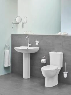 GROHE Bau Cosmopolitan Toiletborstelset -Badkamerproducten Winkel 899x1200 9