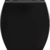 Allibert Wc-bril BACCARA² - Geperst Hout - Afklikbaar - Antibacterieel - Zwart Gelakt -Badkamerproducten Winkel 916x1200
