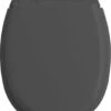 Allibert Wc-bril ATLAS - Geperst Hout - Afklikbaar - Met Regelplaat - Anthraciet Grijs Gelakt -Badkamerproducten Winkel 926x1200 8
