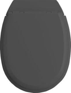 Allibert Wc-bril ATLAS - Geperst Hout - Afklikbaar - Met Regelplaat - Anthraciet Grijs Gelakt