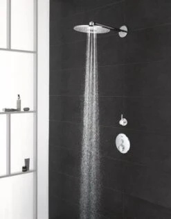 GROHE Euphoria 260 Hoofddouche - Regendouche ø 26 Cm - Eco - Met 3 Stralen - Chroom -Badkamerproducten Winkel 940x1200 1