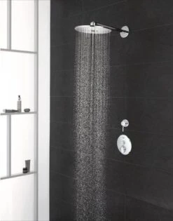 GROHE Euphoria 260 Hoofddouche - Regendouche ø 26 Cm - Eco - Met 3 Stralen - Chroom -Badkamerproducten Winkel 942x1200